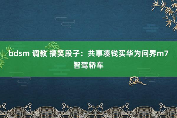 bdsm 调教 搞笑段子：共事凑钱买华为问界m7智驾轿车