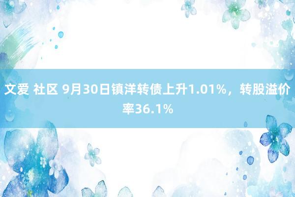 文爱 社区 9月30日镇洋转债上升1.01%,转股溢价率36.1%