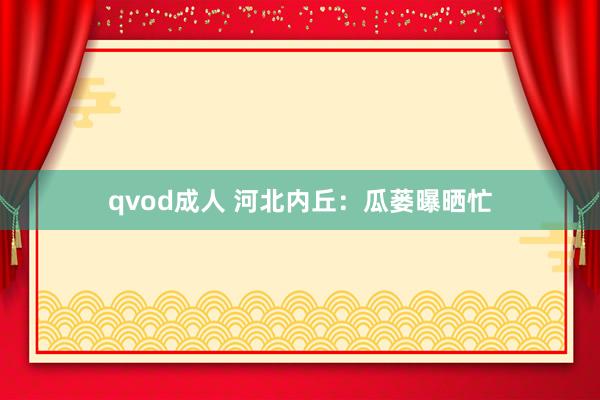 qvod成人 河北内丘：瓜蒌曝晒忙