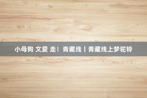 小母狗 文爱 走！青藏线丨青藏线上梦驼铃