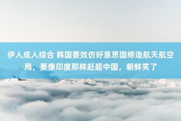 伊人成人综合 韩国要效仿好意思国缔造航天航空局，要像印度那样赶超中国，朝鲜笑了
