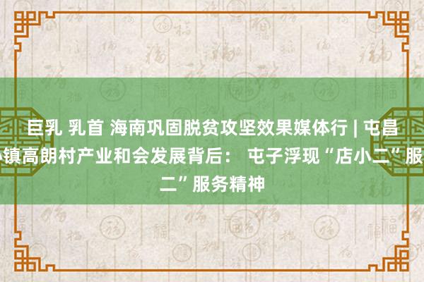 巨乳 乳首 海南巩固脱贫攻坚效果媒体行 | 屯昌县坡心镇高朗村产业和会发展背后： 屯子浮现“店小二”服务精神