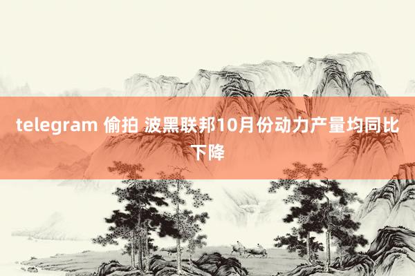 telegram 偷拍 波黑联邦10月份动力产量均同比下降