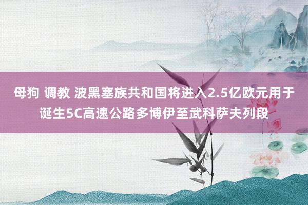 母狗 调教 波黑塞族共和国将进入2.5亿欧元用于诞生5C高速公路多博伊至武科萨夫列段
