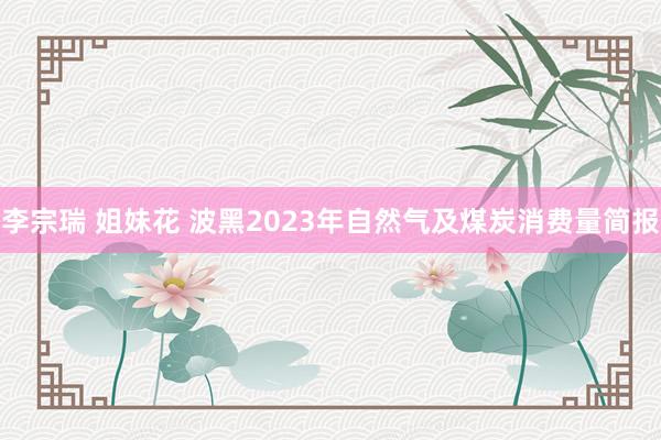 李宗瑞 姐妹花 波黑2023年自然气及煤炭消费量简报
