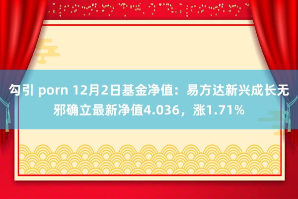 勾引 porn 12月2日基金净值：易方达新兴成长无邪确立最新净值4.036，涨1.71%