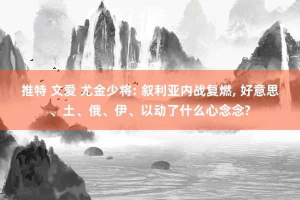 推特 文爱 尤金少将: 叙利亚内战复燃， 好意思、土、俄、伊、以动了什么心念念?