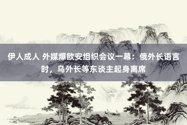 伊人成人 外媒爆欧安组织会议一幕：俄外长语言时，乌外长等东谈主起身离席