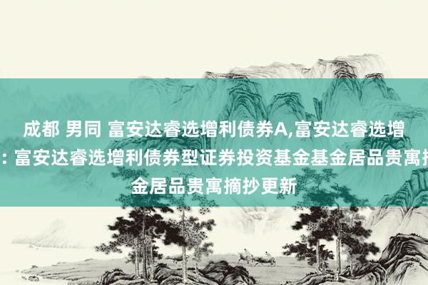 成都 男同 富安达睿选增利债券A,富安达睿选增利债券C: 富安达睿选增利债券型证券投资基金基金居品贵寓摘抄更新