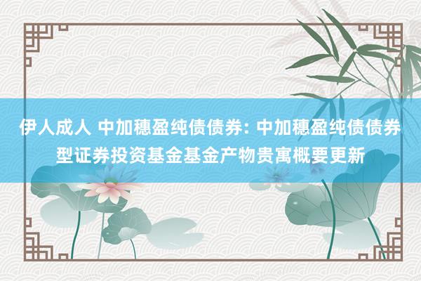 伊人成人 中加穗盈纯债债券: 中加穗盈纯债债券型证券投资基金基金产物贵寓概要更新