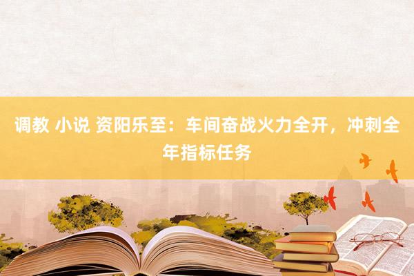 调教 小说 资阳乐至：车间奋战火力全开，冲刺全年指标任务