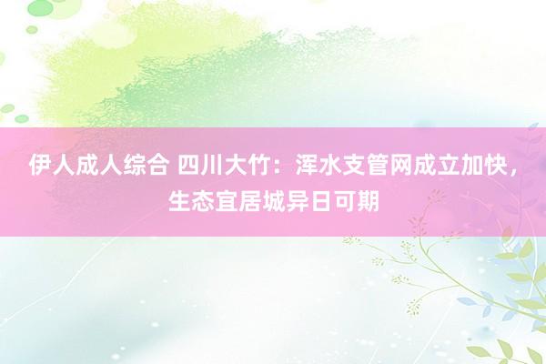 伊人成人综合 四川大竹：浑水支管网成立加快，生态宜居城异日可期