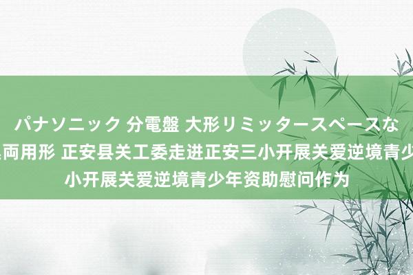 パナソニック 分電盤 大形リミッタースペースなし 露出・半埋込両用形 正安县关工委走进正安三小开展关爱逆境青少年资助慰问作为