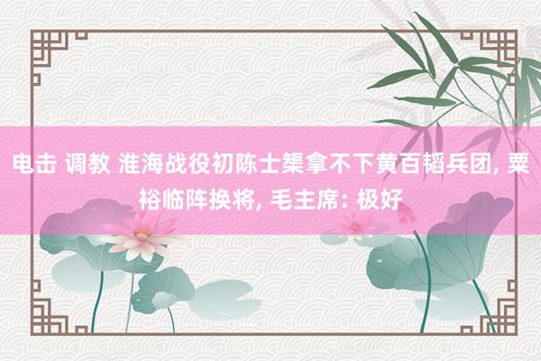 电击 调教 淮海战役初陈士榘拿不下黄百韬兵团， 粟裕临阵换将， 毛主席: 极好