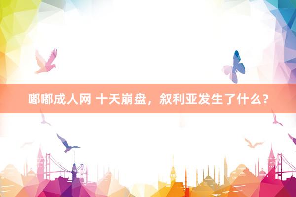 嘟嘟成人网 十天崩盘，叙利亚发生了什么？