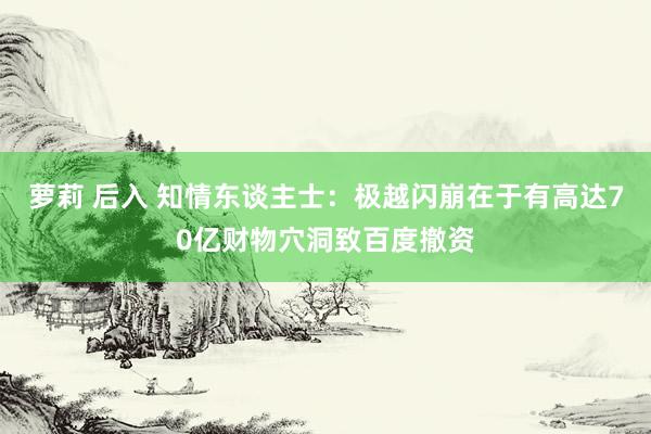 萝莉 后入 知情东谈主士：极越闪崩在于有高达70亿财物穴洞致百度撤资