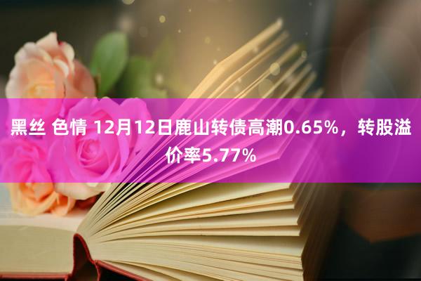 黑丝 色情 12月12日鹿山转债高潮0.65%，转股溢价率5.77%