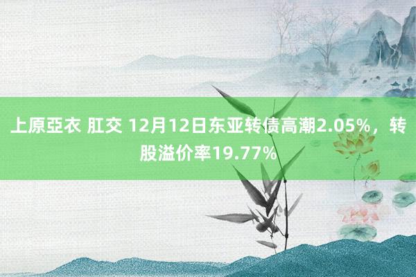上原亞衣 肛交 12月12日东亚转债高潮2.05%，转股溢价率19.77%