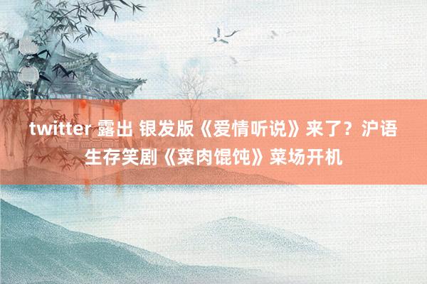 twitter 露出 银发版《爱情听说》来了？沪语生存笑剧《菜肉馄饨》菜场开机