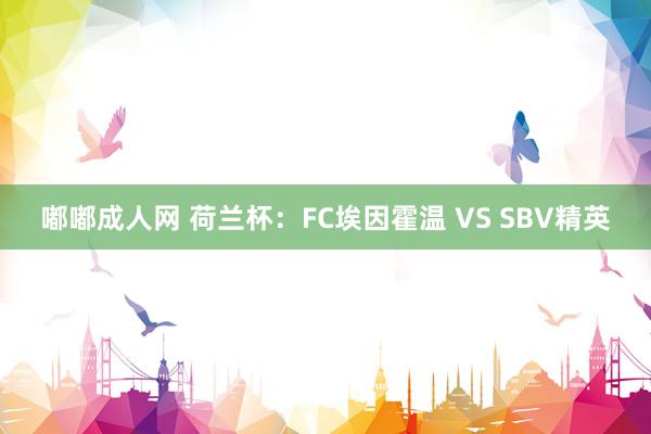 嘟嘟成人网 荷兰杯：FC埃因霍温 VS SBV精英