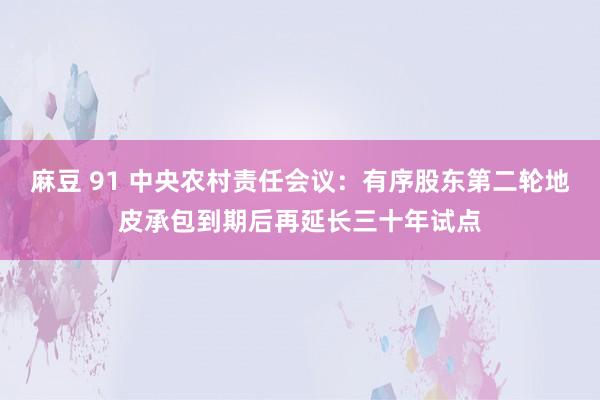 麻豆 91 中央农村责任会议：有序股东第二轮地皮承包到期后再延长三十年试点