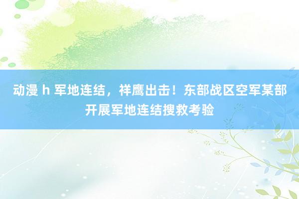 动漫 h 军地连结，祥鹰出击！东部战区空军某部开展军地连结搜救考验
