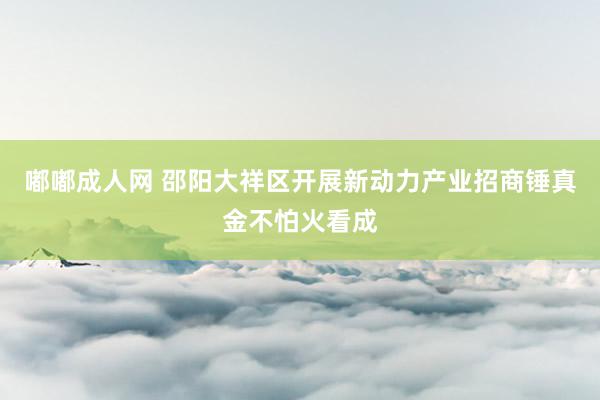 嘟嘟成人网 邵阳大祥区开展新动力产业招商锤真金不怕火看成