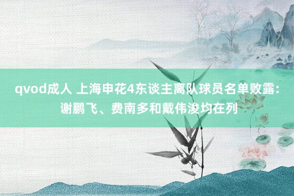 qvod成人 上海申花4东谈主离队球员名单败露: 谢鹏飞、费南多和戴伟浚均在列