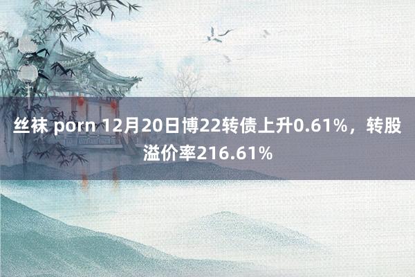 丝袜 porn 12月20日博22转债上升0.61%，转股溢价率216.61%