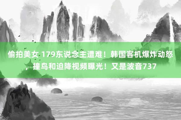 偷拍美女 179东说念主遭难！韩国客机爆炸动怒，撞鸟和迫降视频曝光！又是波音737