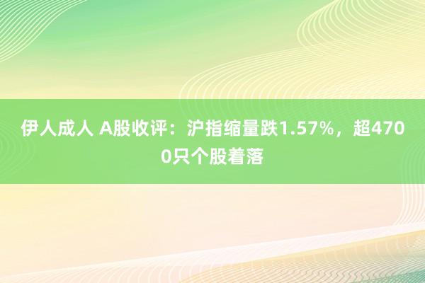 伊人成人 A股收评：沪指缩量跌1.57%，超4700只个股着落