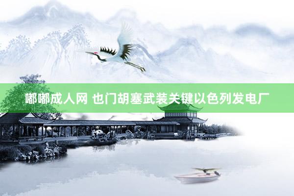 嘟嘟成人网 也门胡塞武装关键以色列发电厂
