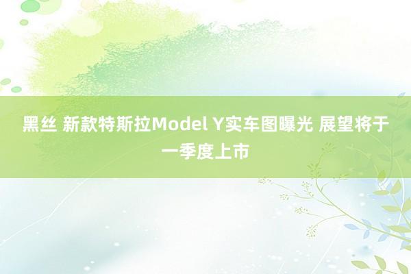 黑丝 新款特斯拉Model Y实车图曝光 展望将于一季度上市
