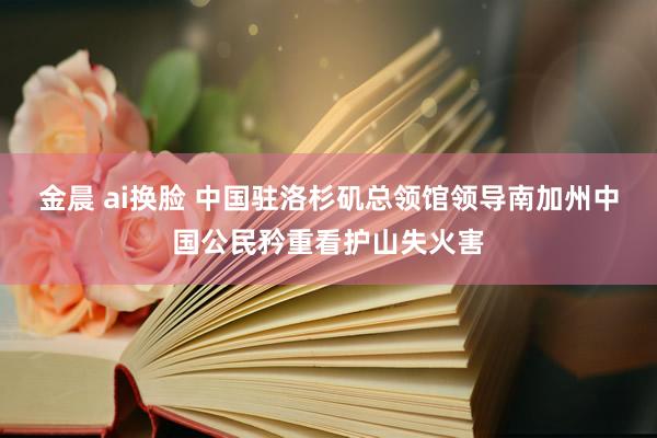 金晨 ai换脸 中国驻洛杉矶总领馆领导南加州中国公民矜重看护山失火害
