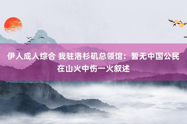 伊人成人综合 我驻洛杉矶总领馆：暂无中国公民在山火中伤一火叙述