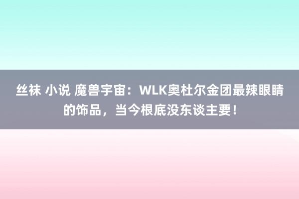 丝袜 小说 魔兽宇宙：WLK奥杜尔金团最辣眼睛的饰品，当今根底没东谈主要！
