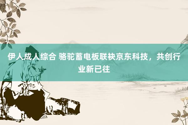 伊人成人综合 骆驼蓄电板联袂京东科技，共创行业新已往