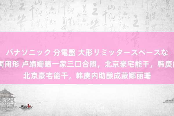 パナソニック 分電盤 大形リミッタースペースなし 露出・半埋込両用形 卢靖姗晒一家三口合照，北京豪宅能干，韩庚内助酿成蒙娜丽珊
