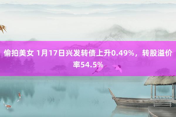 偷拍美女 1月17日兴发转债上升0.49%，转股溢价率54.5%