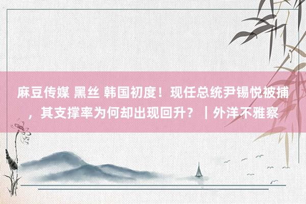 麻豆传媒 黑丝 韩国初度！现任总统尹锡悦被捕，其支撑率为何却出现回升？｜外洋不雅察