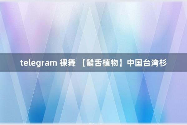 telegram 裸舞 【齰舌植物】中国台湾杉