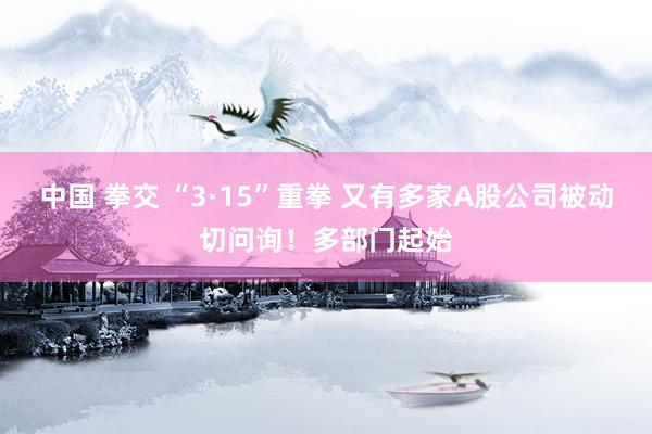 中国 拳交 “3·15”重拳 又有多家A股公司被动切问询！多部门起始