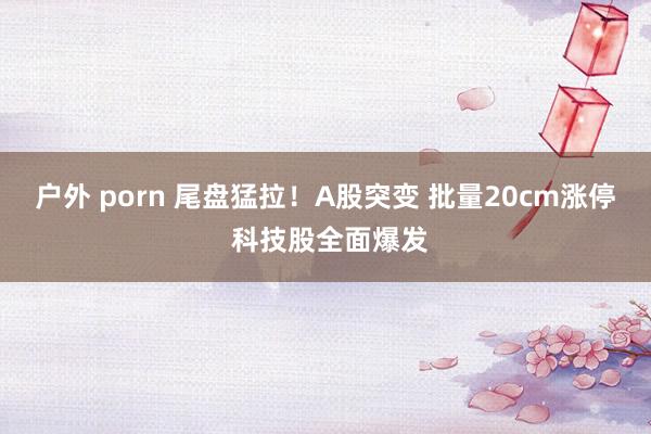 户外 porn 尾盘猛拉！A股突变 批量20cm涨停 科技股全面爆发
