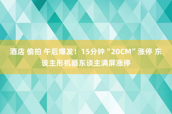 酒店 偷拍 午后爆发！15分钟“20CM”涨停 东谈主形机器东谈主满屏涨停