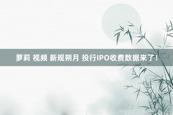 萝莉 视频 新规朔月 投行IPO收费数据来了！