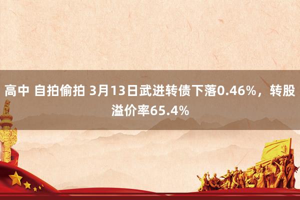高中 自拍偷拍 3月13日武进转债下落0.46%，转股溢价率65.4%