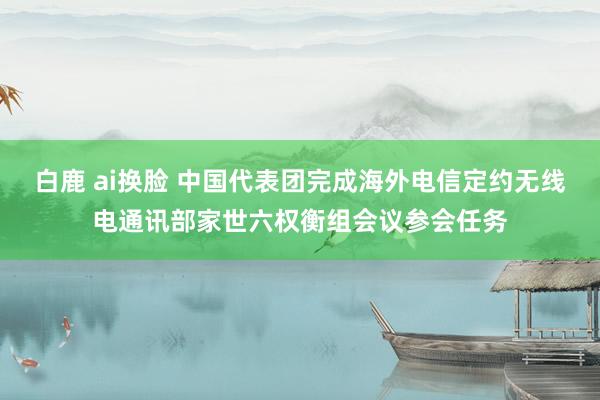白鹿 ai换脸 中国代表团完成海外电信定约无线电通讯部家世六权衡组会议参会任务