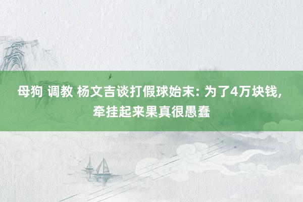 母狗 调教 杨文吉谈打假球始末: 为了4万块钱， 牵挂起来果真很愚蠢