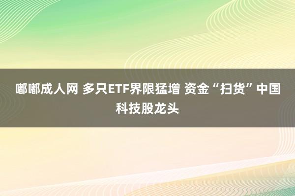 嘟嘟成人网 多只ETF界限猛增 资金“扫货”中国科技股龙头
