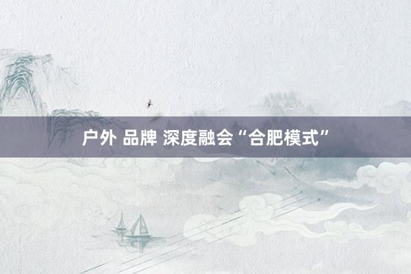 户外 品牌 深度融会“合肥模式”
